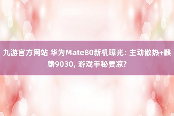 九游官方网站 华为Mate80新机曝光: 主动散热+麒麟9030， 游戏手秘要凉?